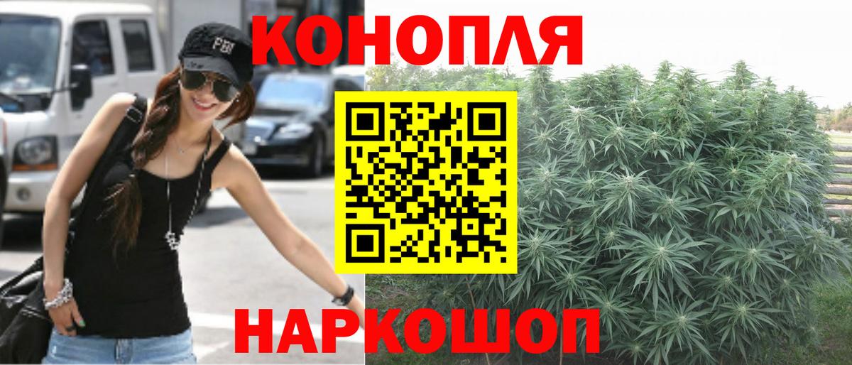 Бошки Шишки SATIVA & INDICA  Бошки марихуана сатива  МАРИХУАНА THC 21%  Бердск  Бошки марихуана OG Kush  Вход с VPN 